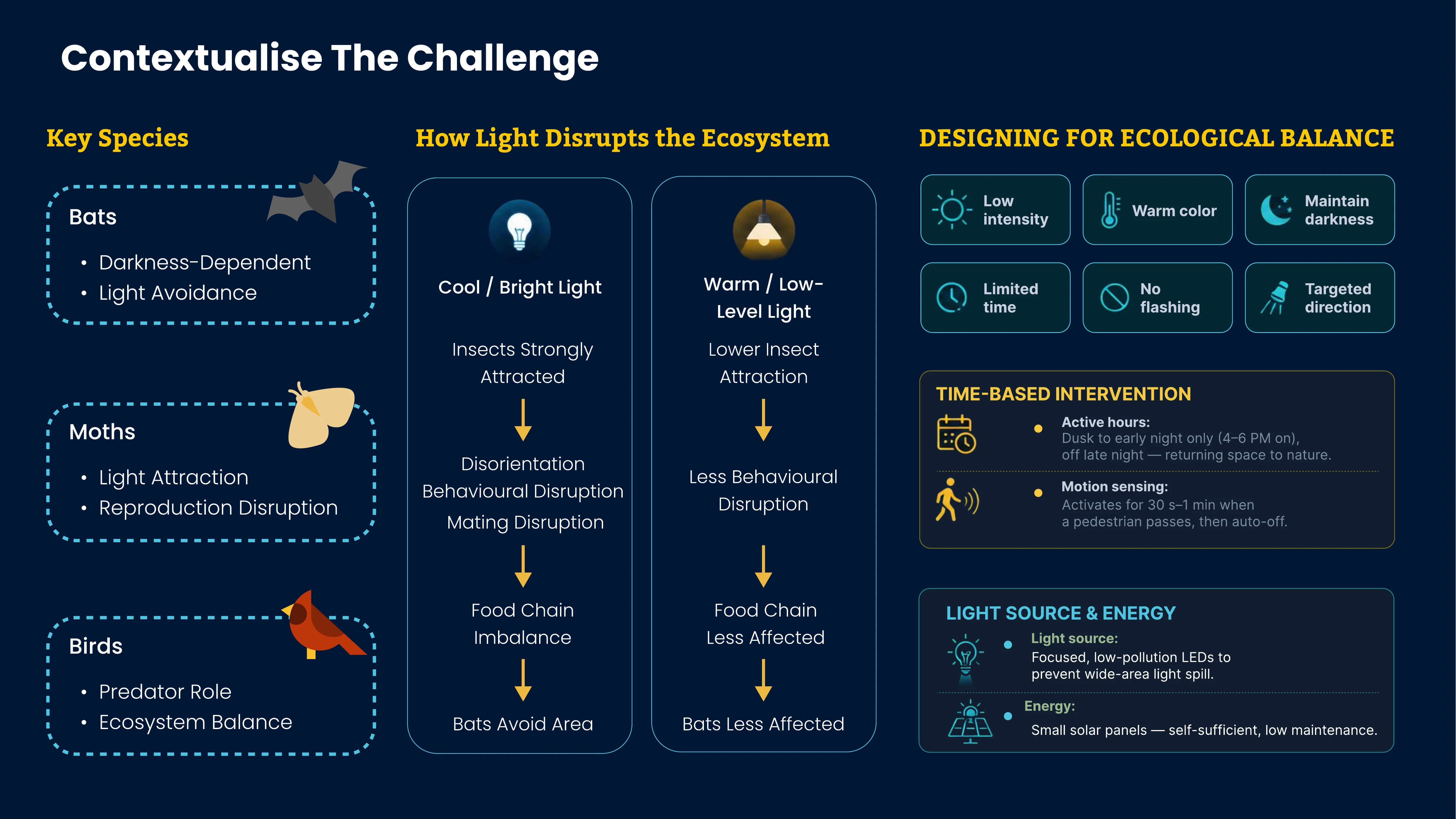Team board on ecological balance: key species bats, moths and birds; two comparison chains showing how cool bright light versus warm low-level light affect insects, behaviour and the food chain; and six design principles for lighting