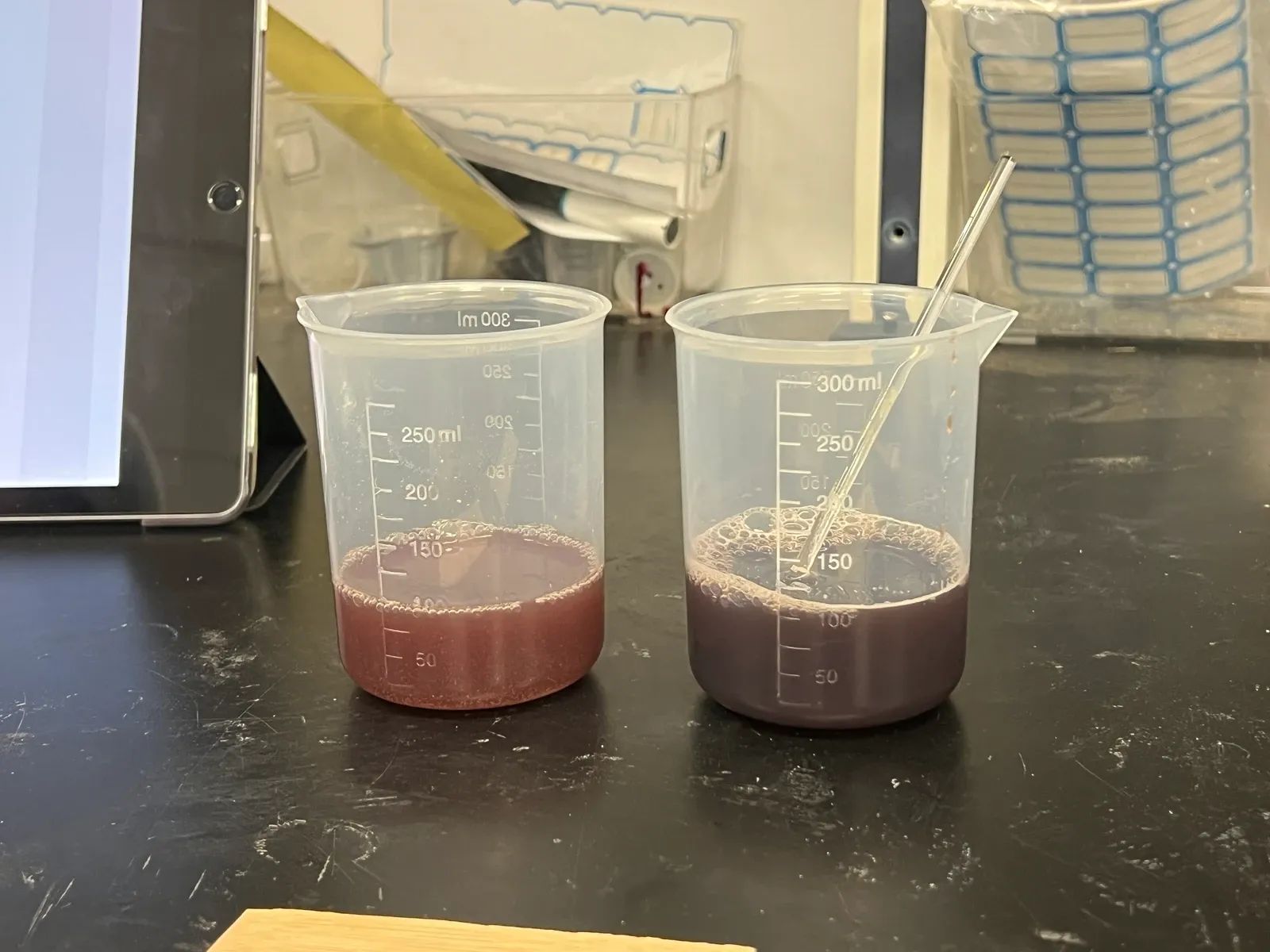 Original persimmon lacquer and green vitriol treatment beakers
