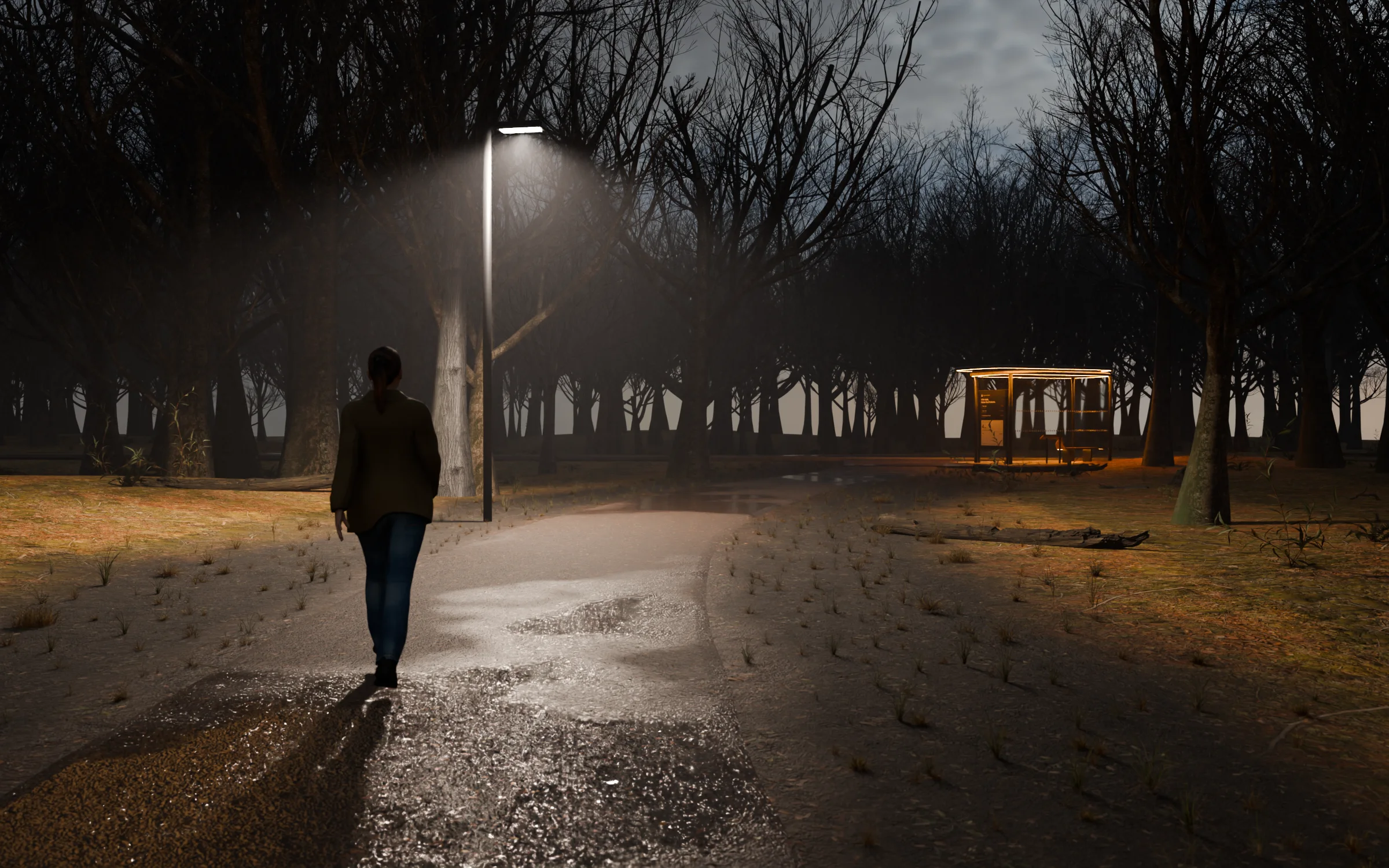 The same dusk path and walker, lit by: street lights
