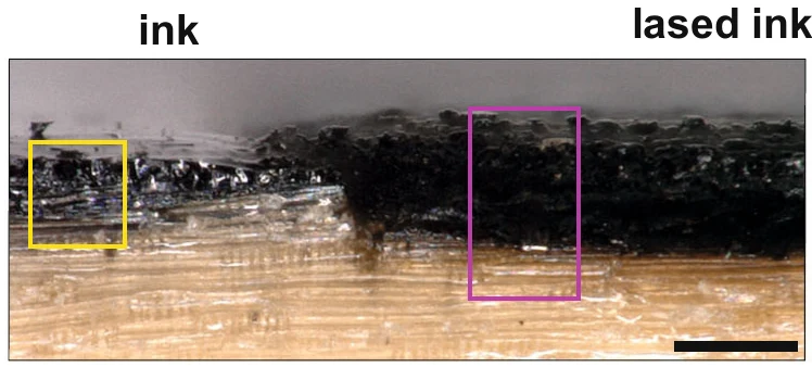 Cross-section of ink-coated spruce: on the left untreated ink on the wood, on the right a thick black porous lased layer on top of intact wood